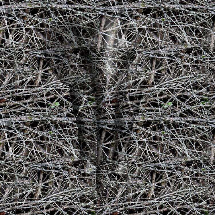 Branch Wood Camo 22.jpg