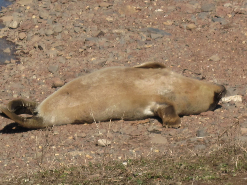 catchin some rays