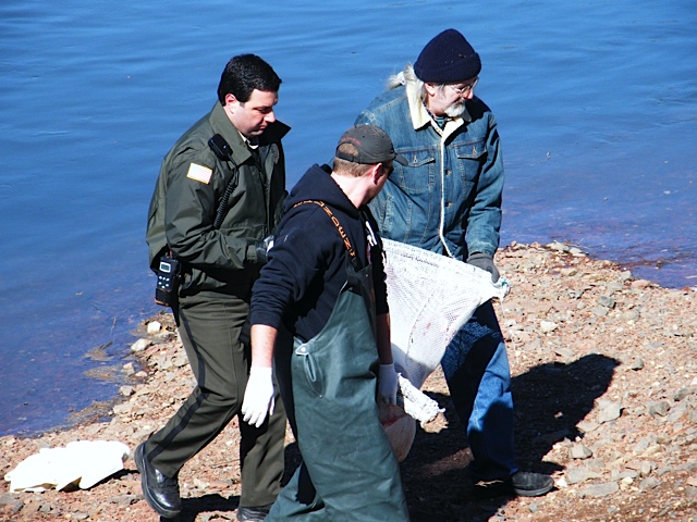 catching a seal