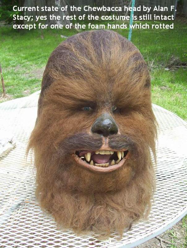 Chewie head in current state, Mask by Alan Stacy 1982