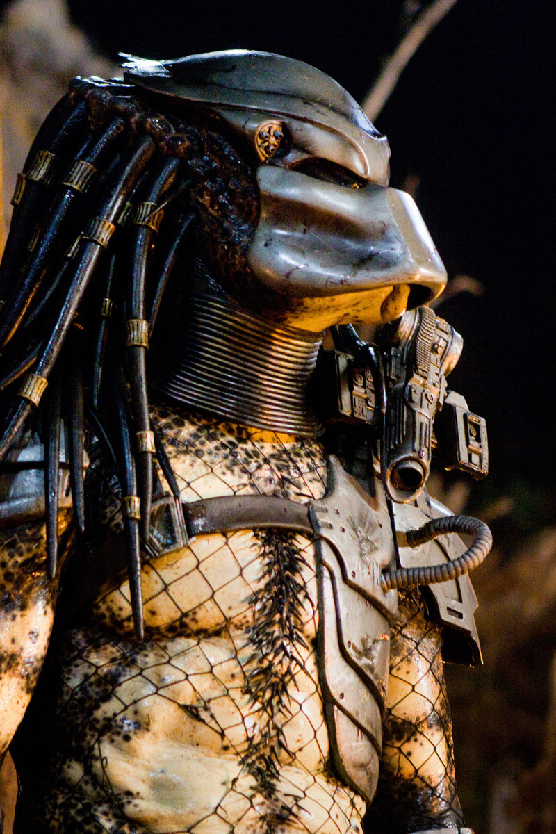 Classic Predator 01