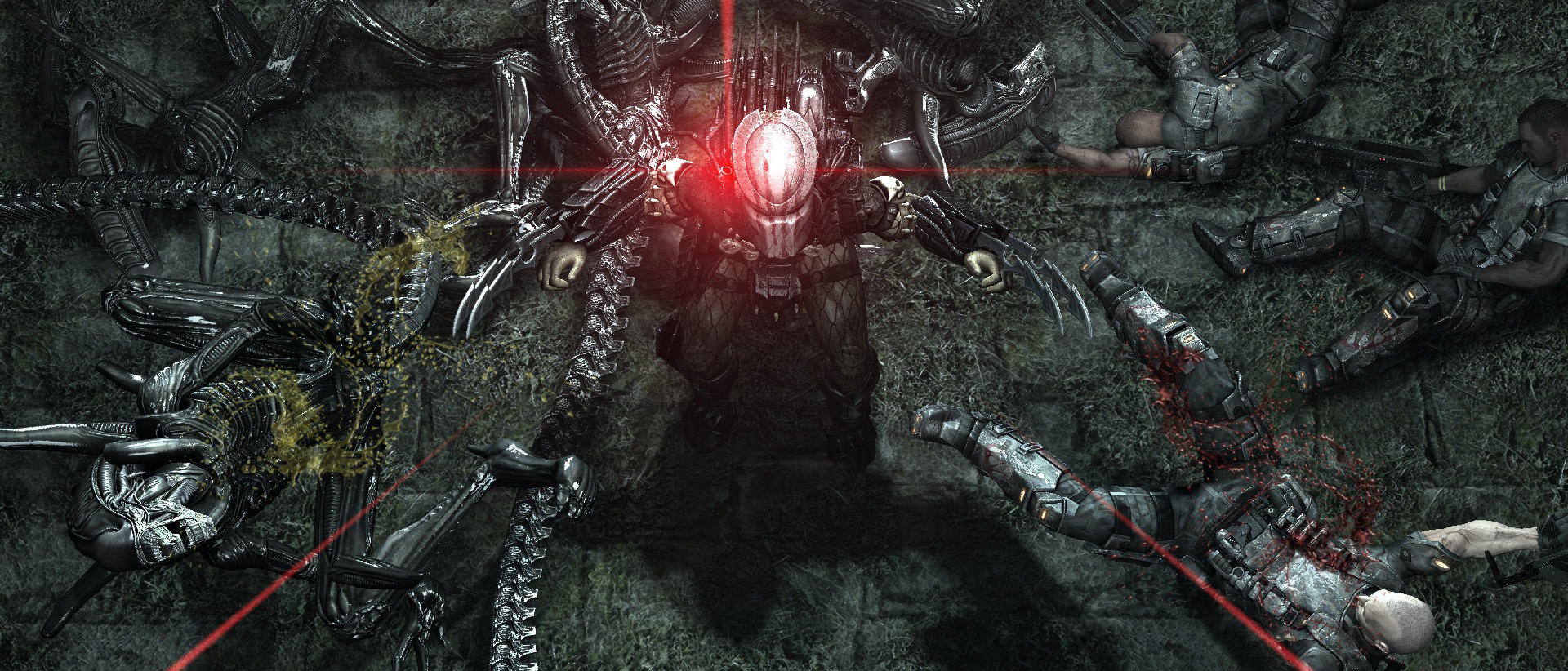 Claw