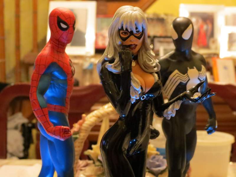 Closeup of both spidey and blackcat