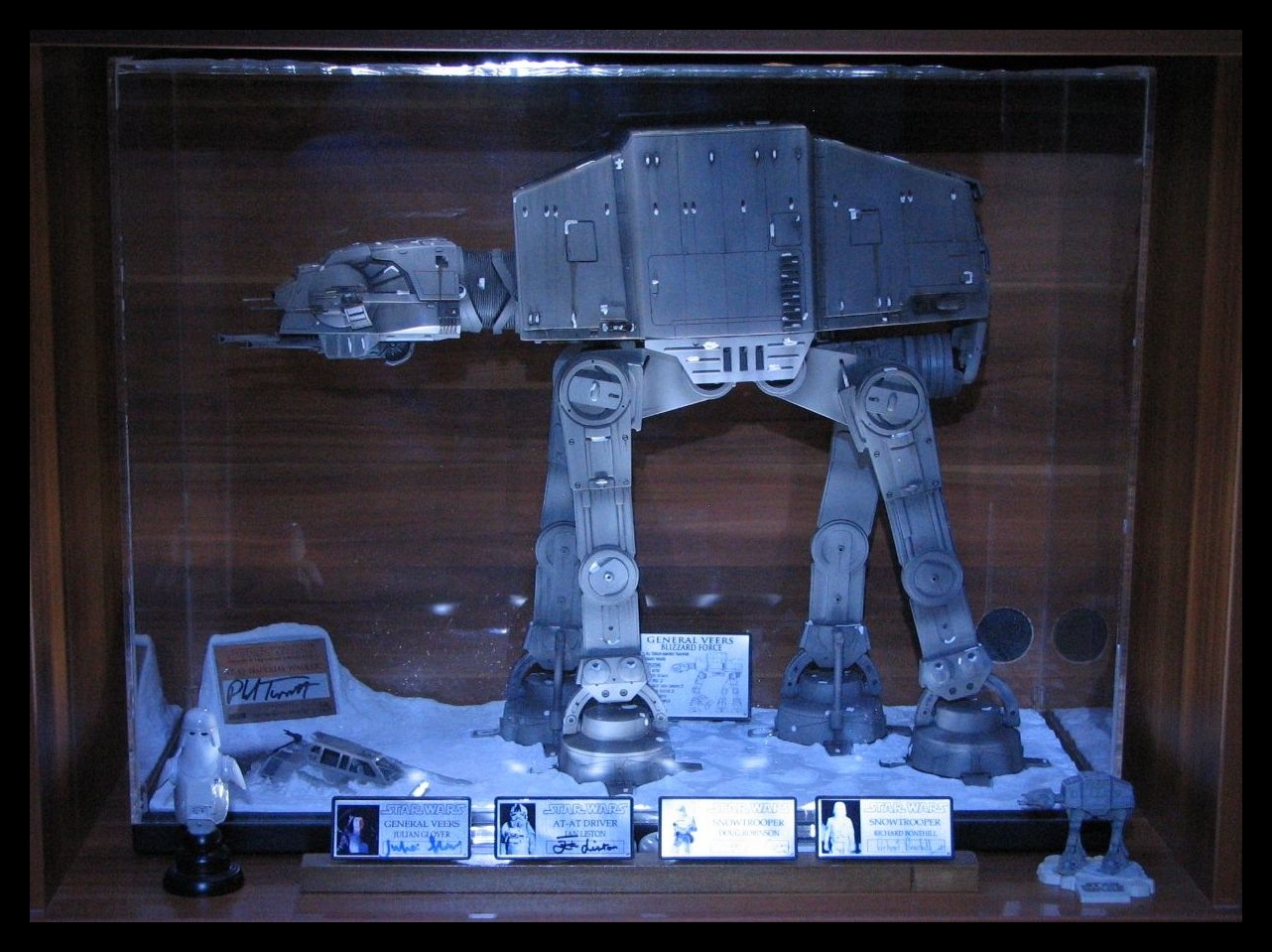collection display