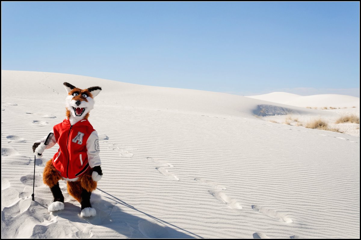 Comb the desert