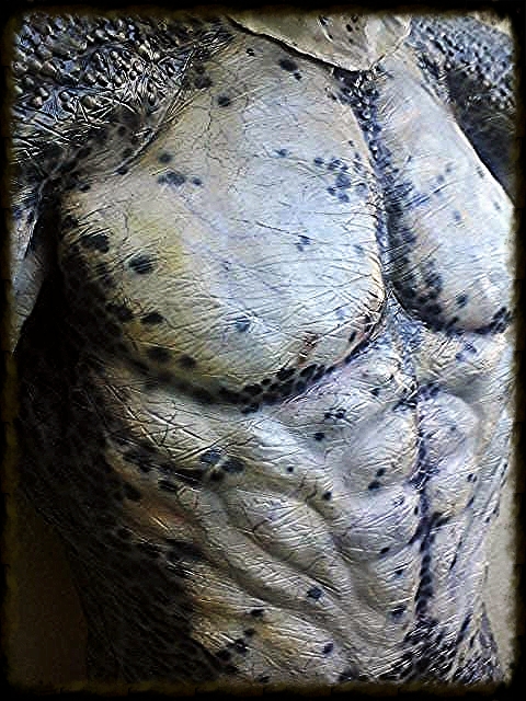 CUSTOM PREDATOR (LEVIATHAN) FOR SCOTT
