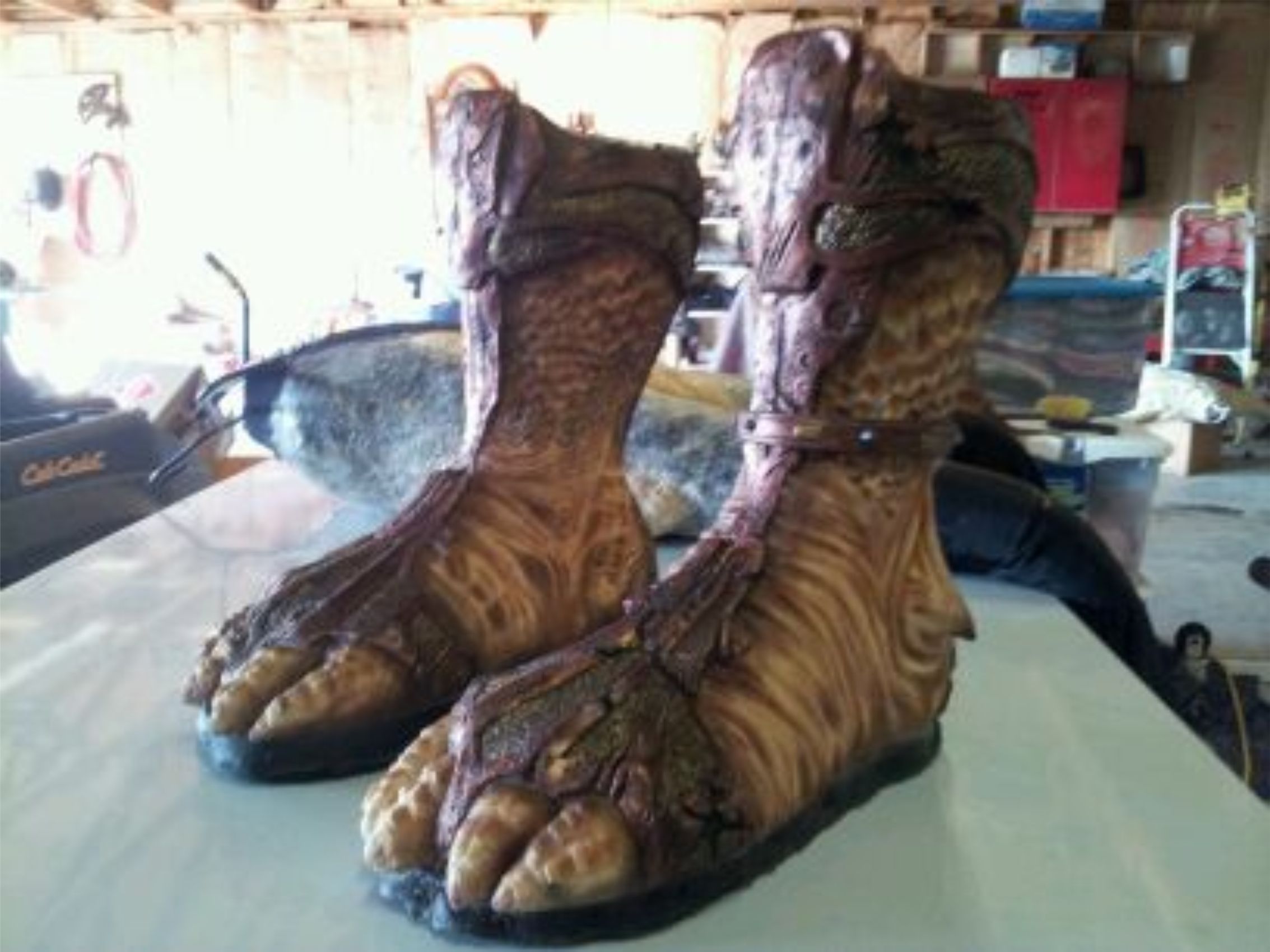 desert feet.jpg