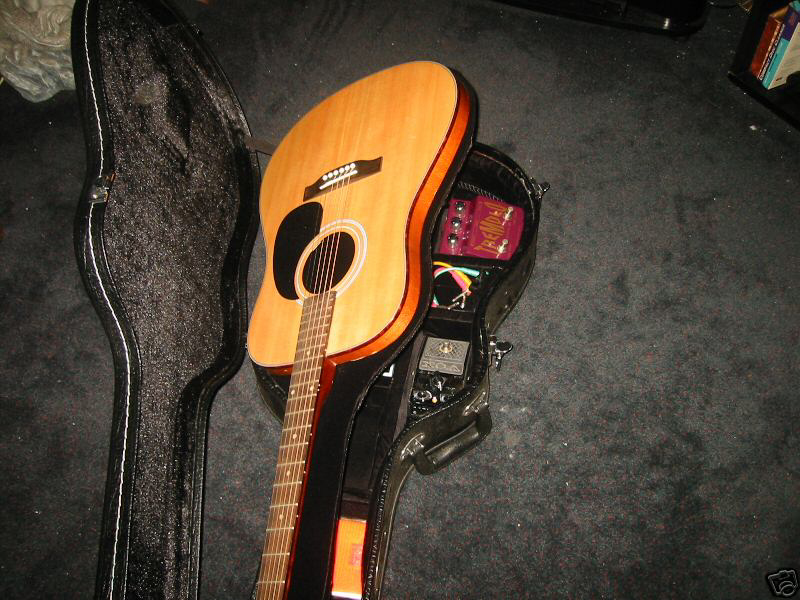 DESPERADO Guitar case
