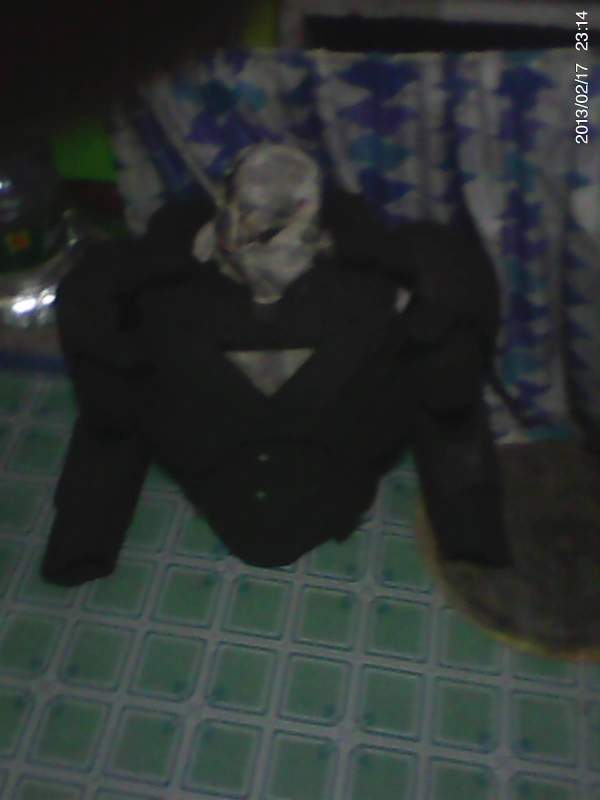DSC 0000043