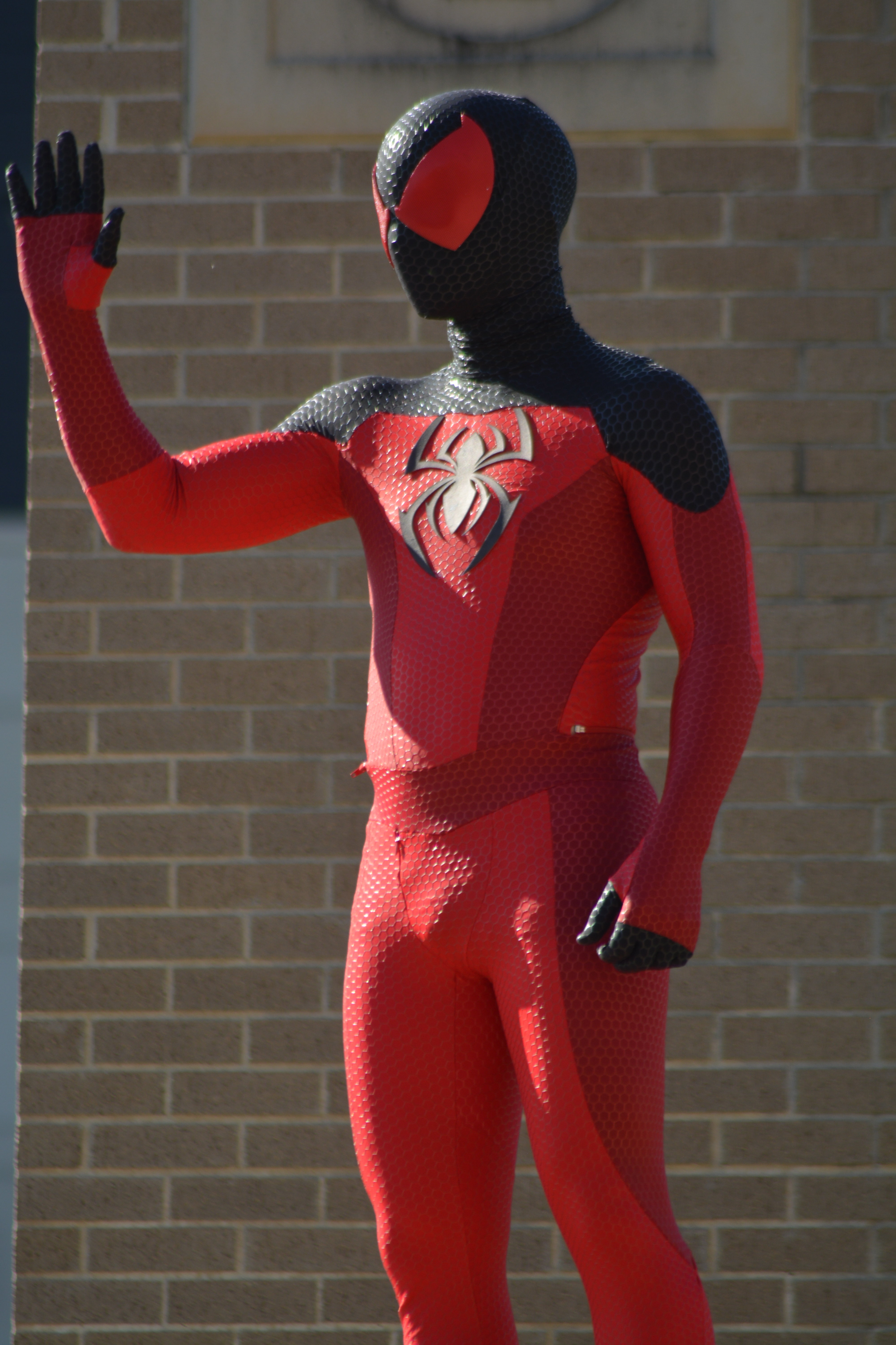 DSC_0647