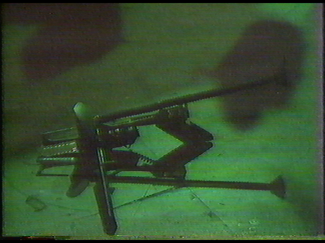 DW_Mutant_02