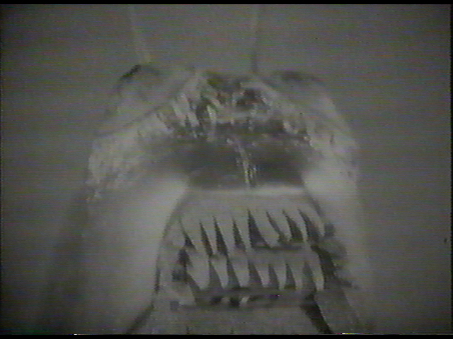DW_Tomb_of_the_Cybermen_07
