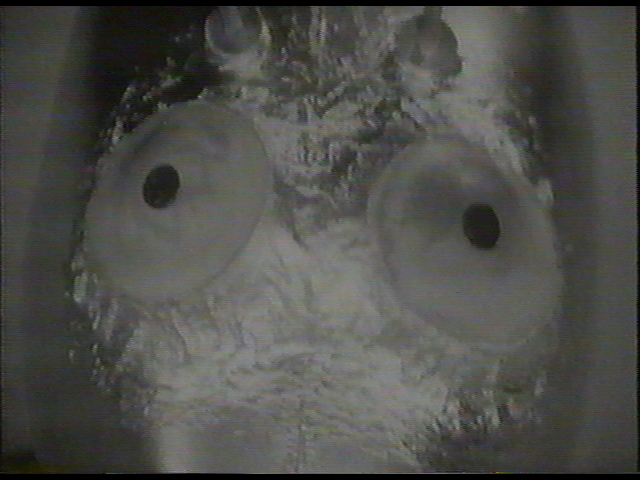 DW_Tomb_of_the_Cybermen_09