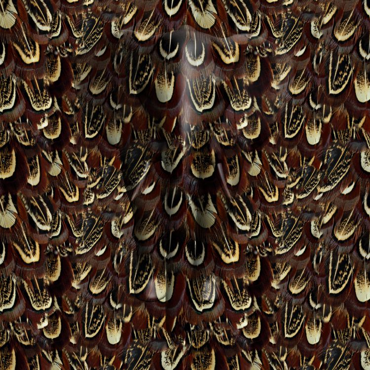 Feathers Pattern 22.jpg