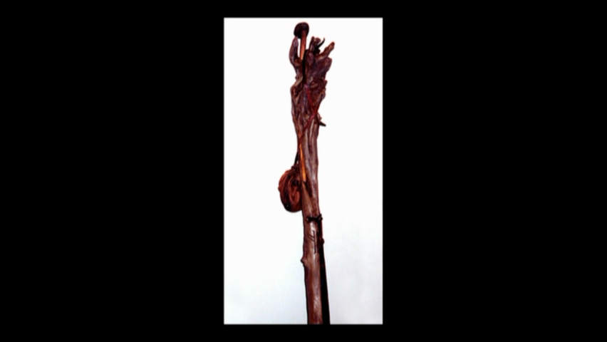 FELLOWSHIP_EXT_D3 - F  VIDEO_TS_20250217_120059.872.png