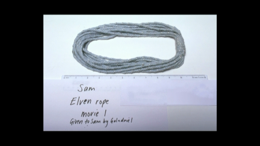 FELLOWSHIP_EXT_D3 - F  VIDEO_TS_20250217_135531.945.png