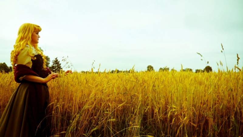 field (30 of 33)p