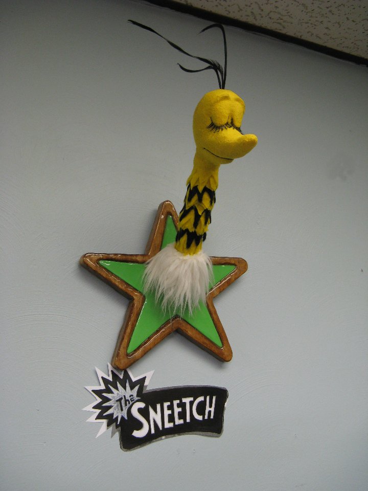 finsneetch1