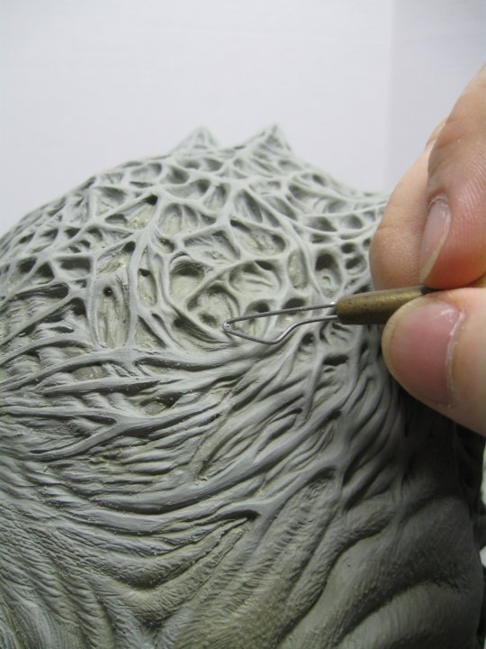 Forehead detail...