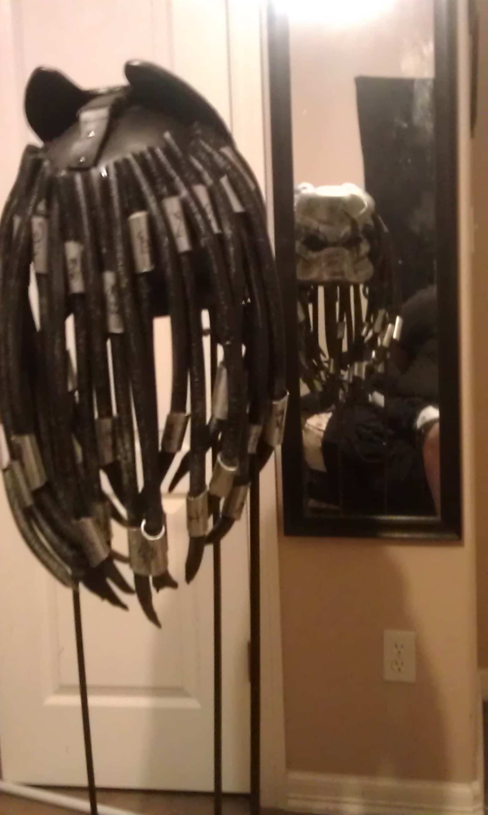 full view of motorcycle bio