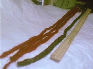 fulllength