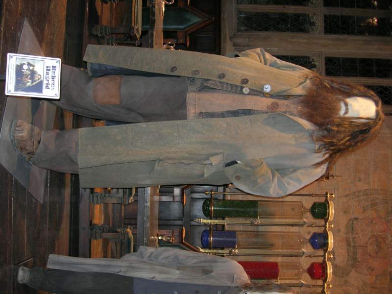 Hagrid Costume