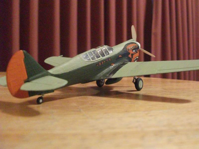 Hand painted Kittyhawk from cartoon POTA