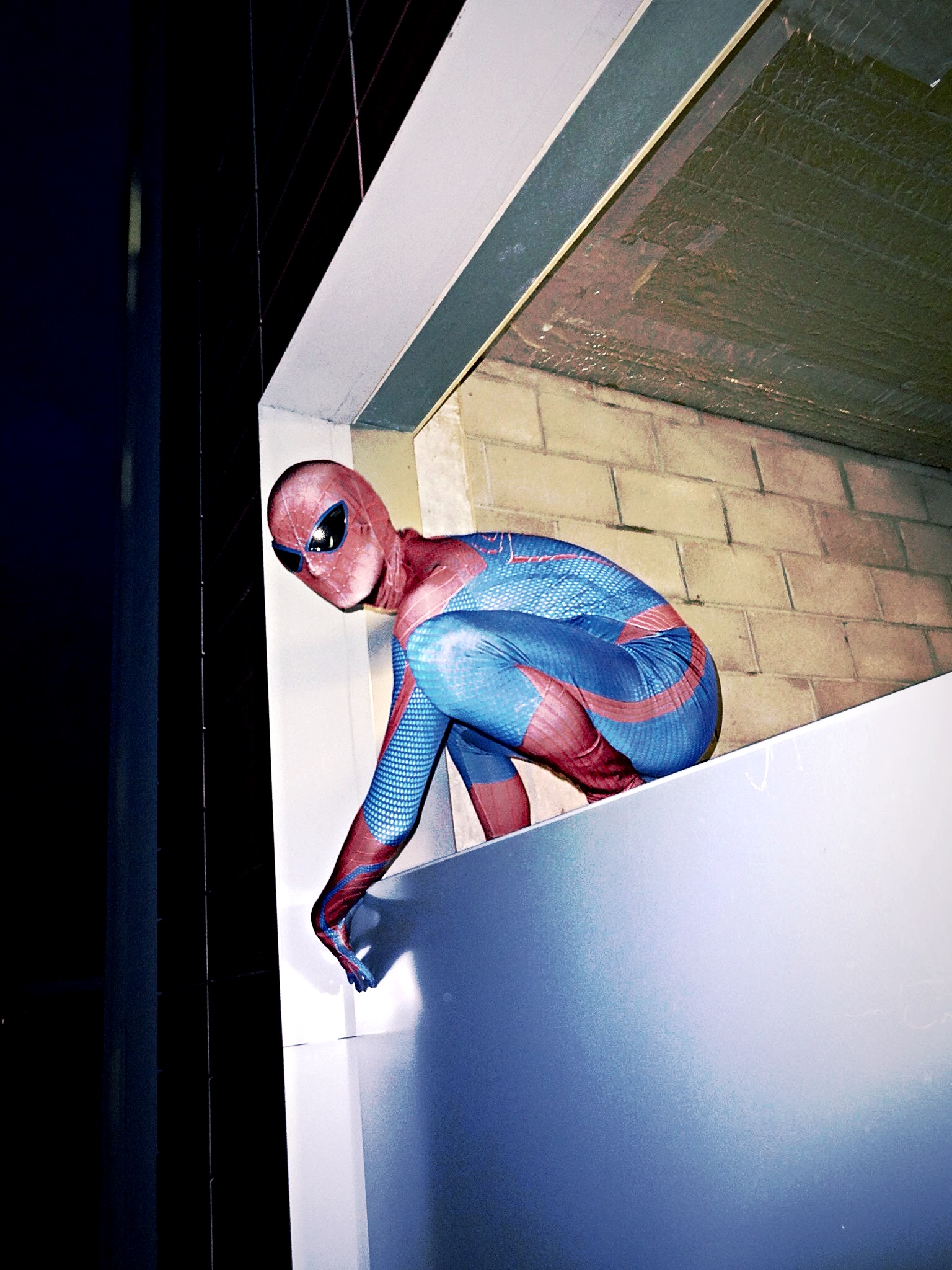 Hanging Around!