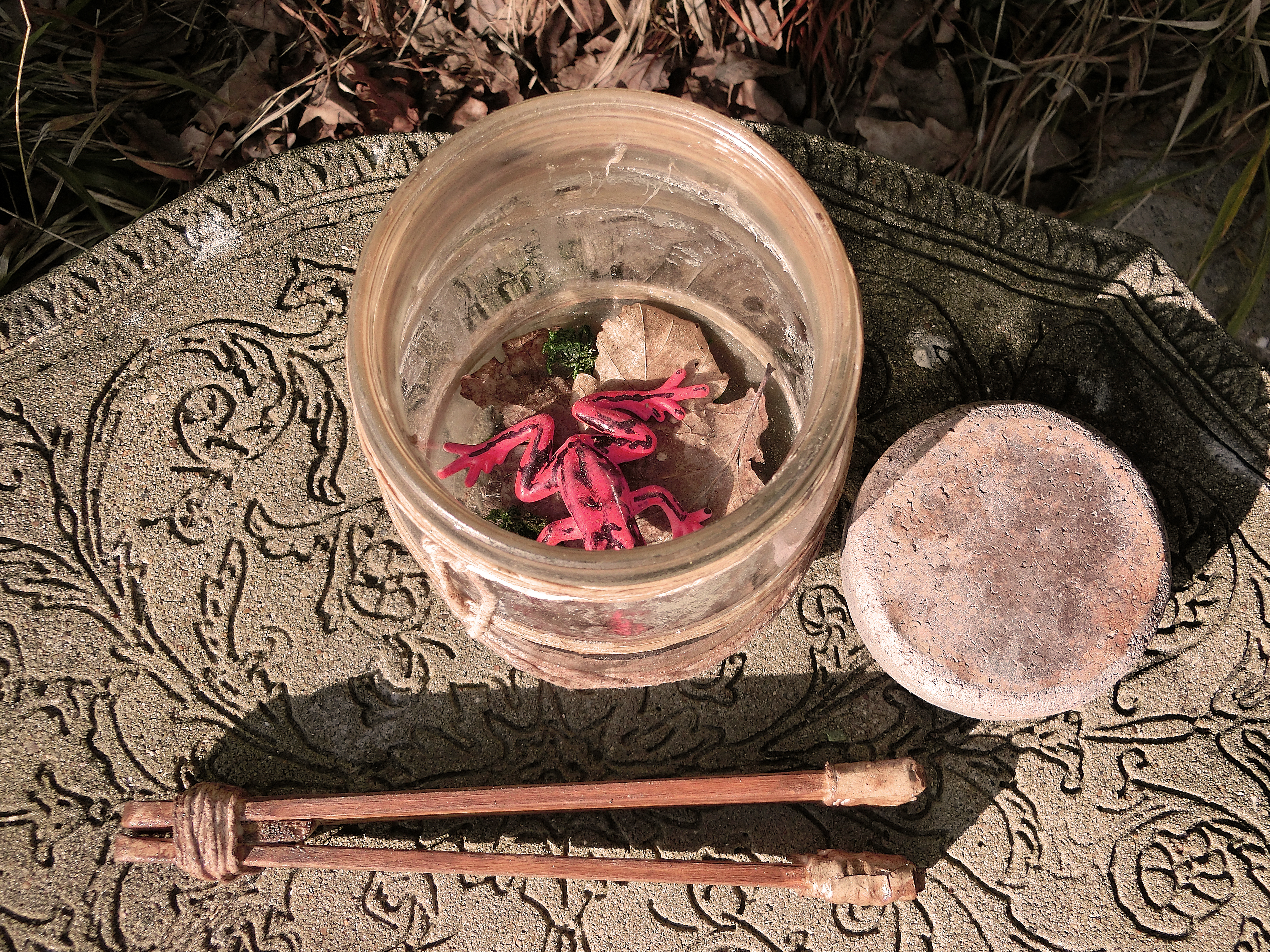 Hector Barbossa collecting jar and frog,
 frog can move via magnet