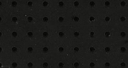 High_Res_HAL_christies scale.png