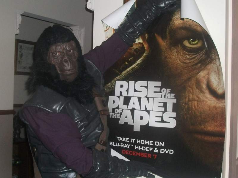 Home decorating, Ape style