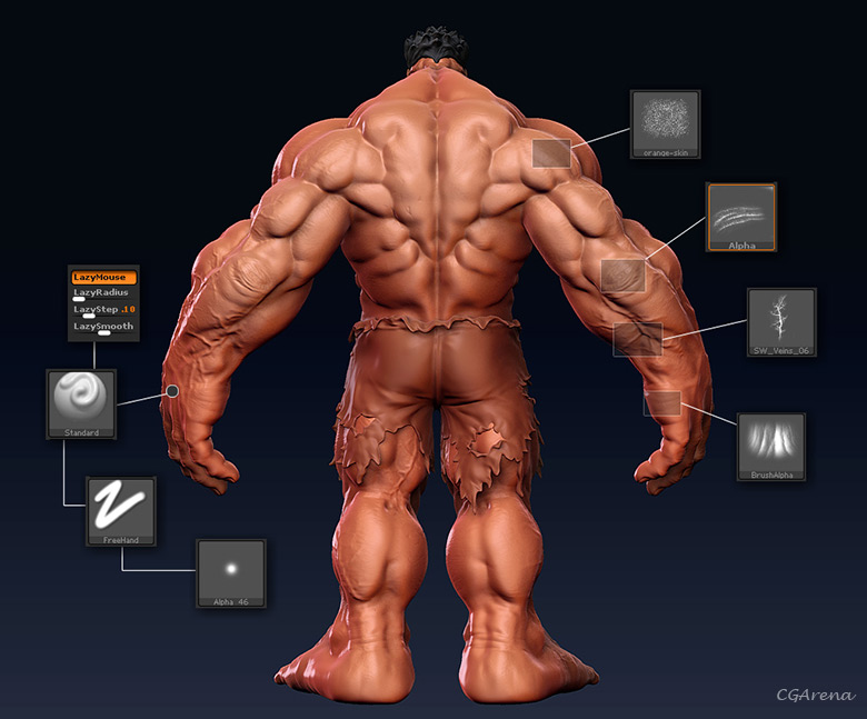 Hulk Anatomy