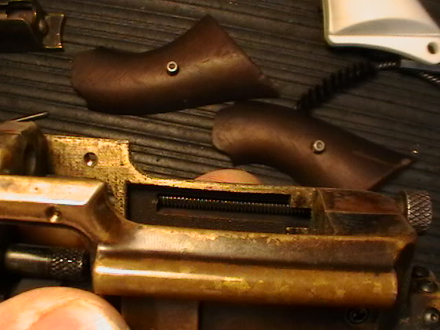 IMGA0102.jpg