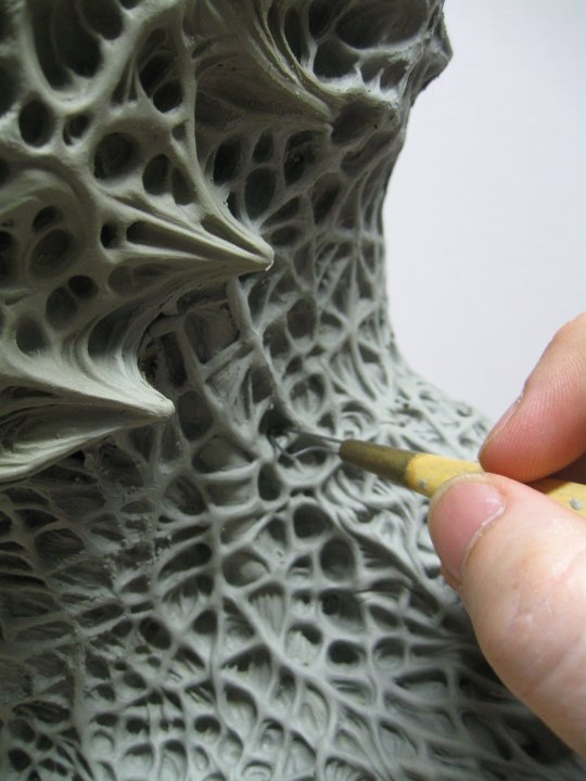 Jaw & shoulder detail...