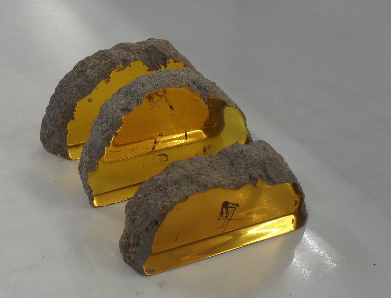 Jurassic World amber slices seen in the cloning lab.