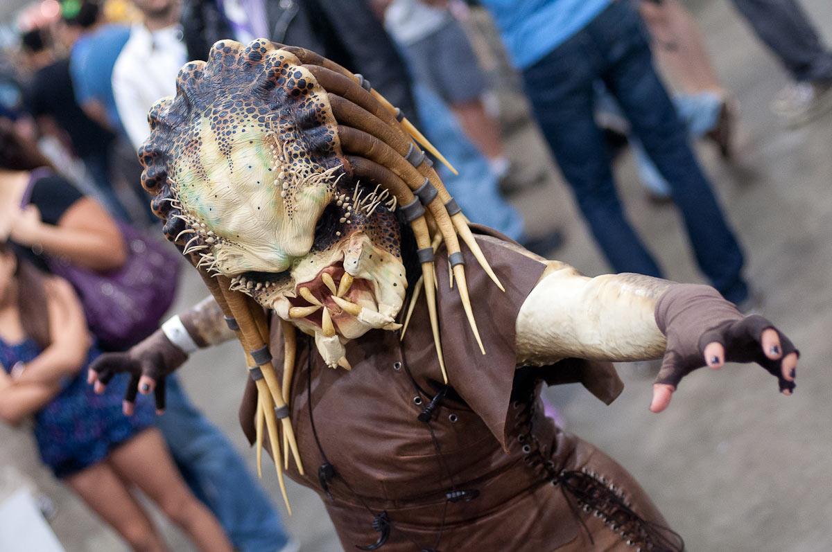 Lady Predator