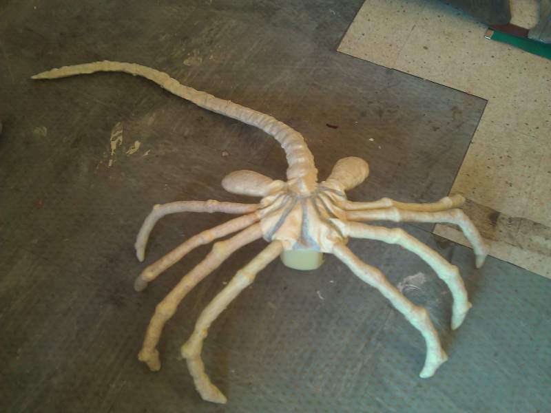 Latex facehugger