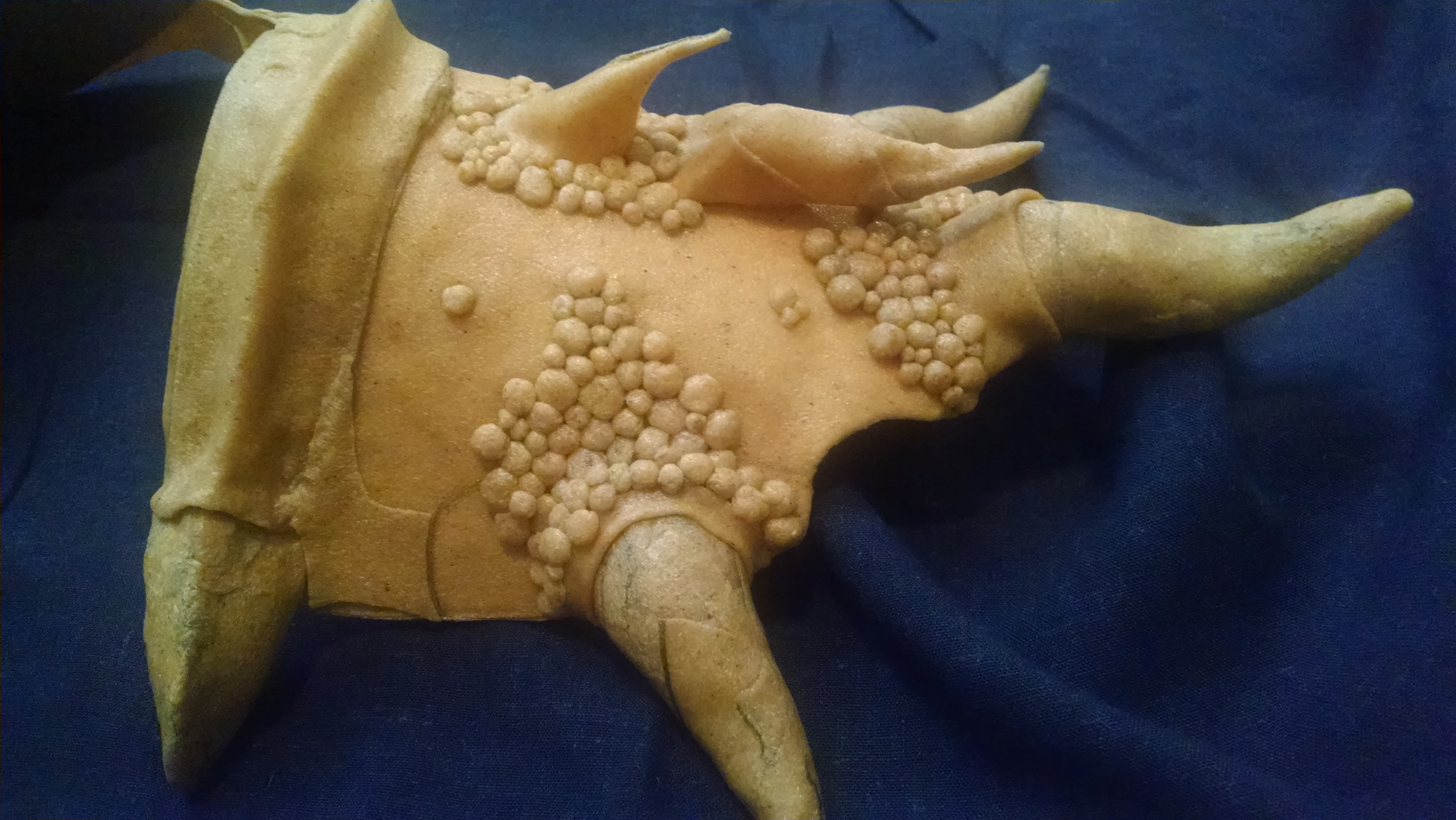 Left pauldron from the front.