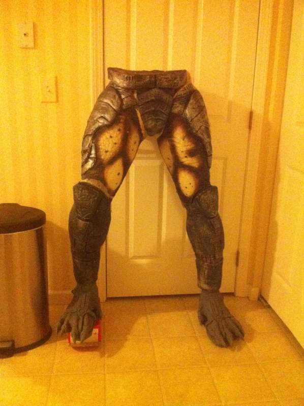 legs