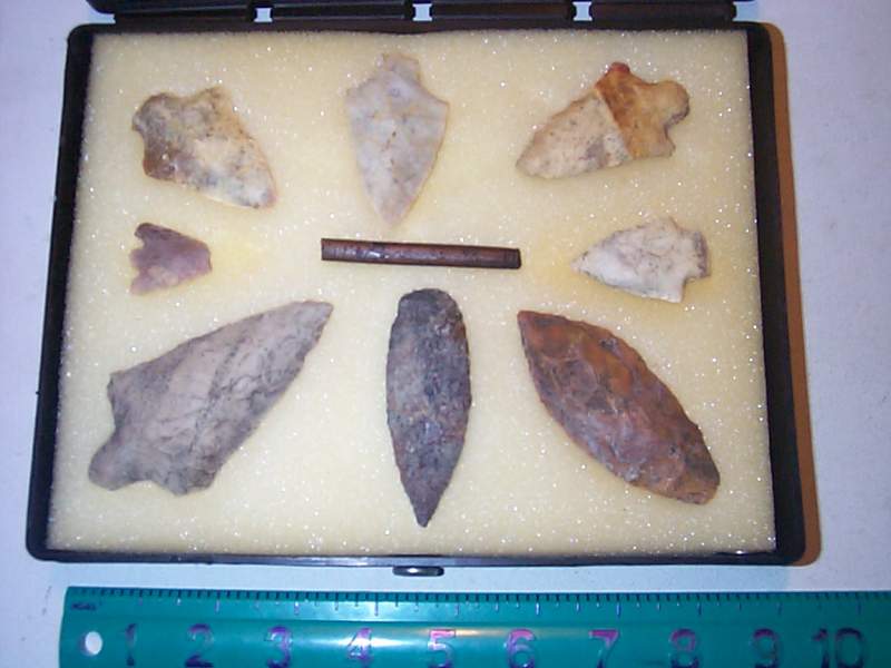 Local found stone points and carved bone needle section.
