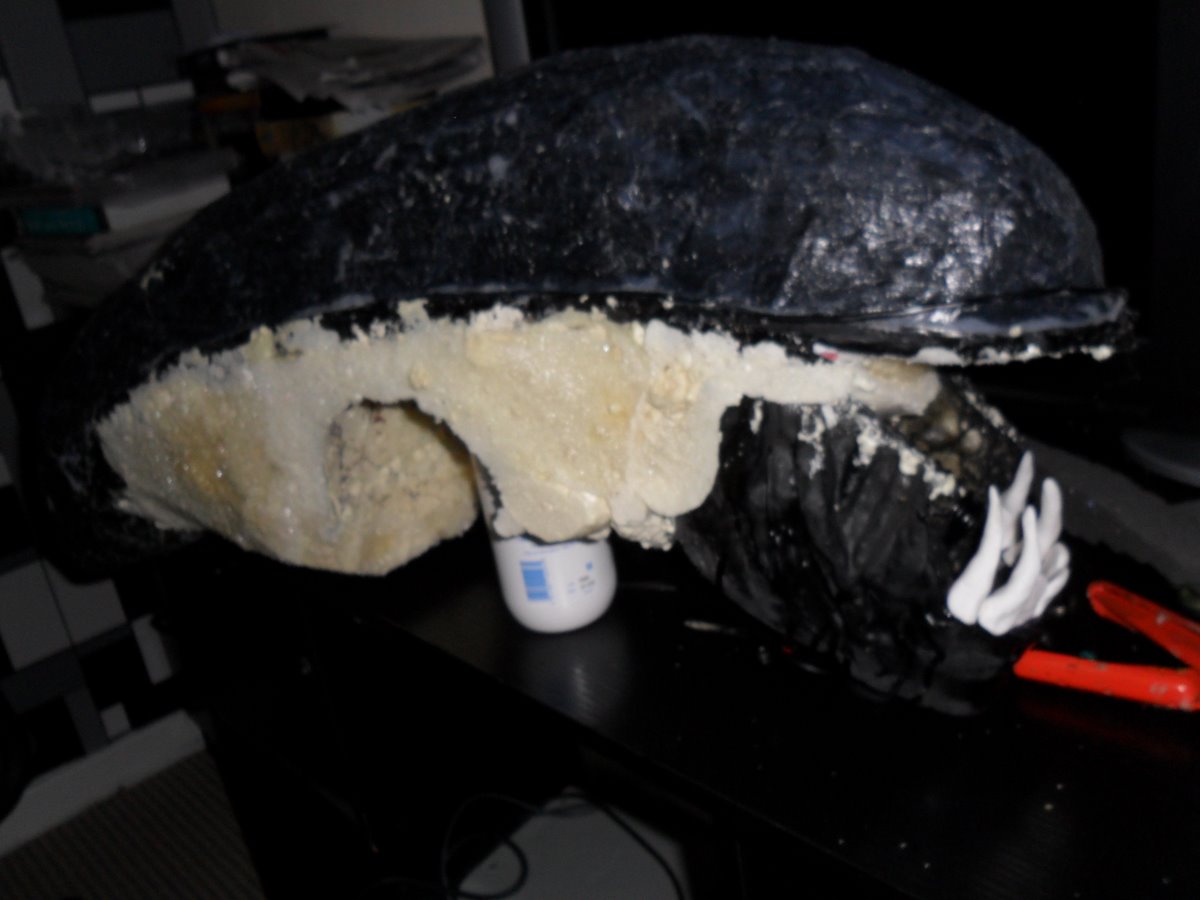 Lower Jaw