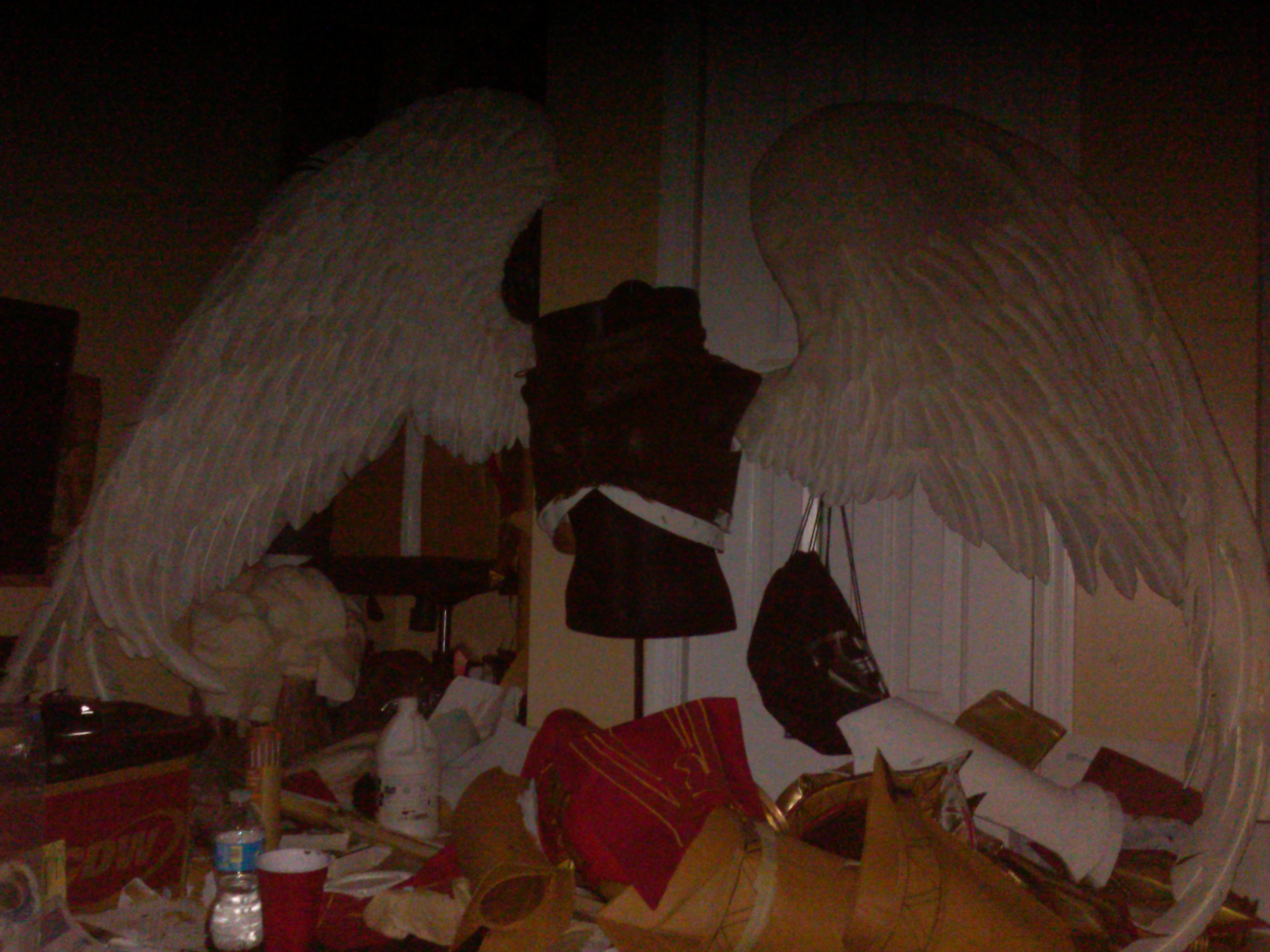 messy mess + wings!