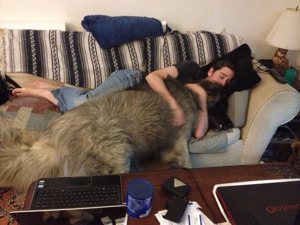 Mouse at 150 pounds. 

I'm 6'2" and 185 pounds...for perspective and size reference.