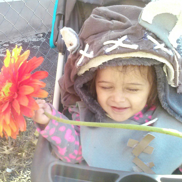 My Little Ewoke. Sunflowers for My Sunshine.