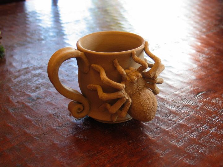 My new mug I made. This spider got on it and won't get off!
Unfired wet clay.