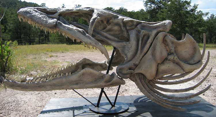 nessie8