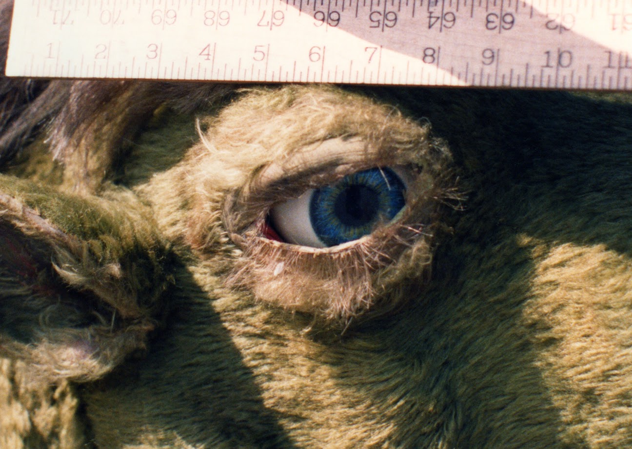 oz gump eye.jpg