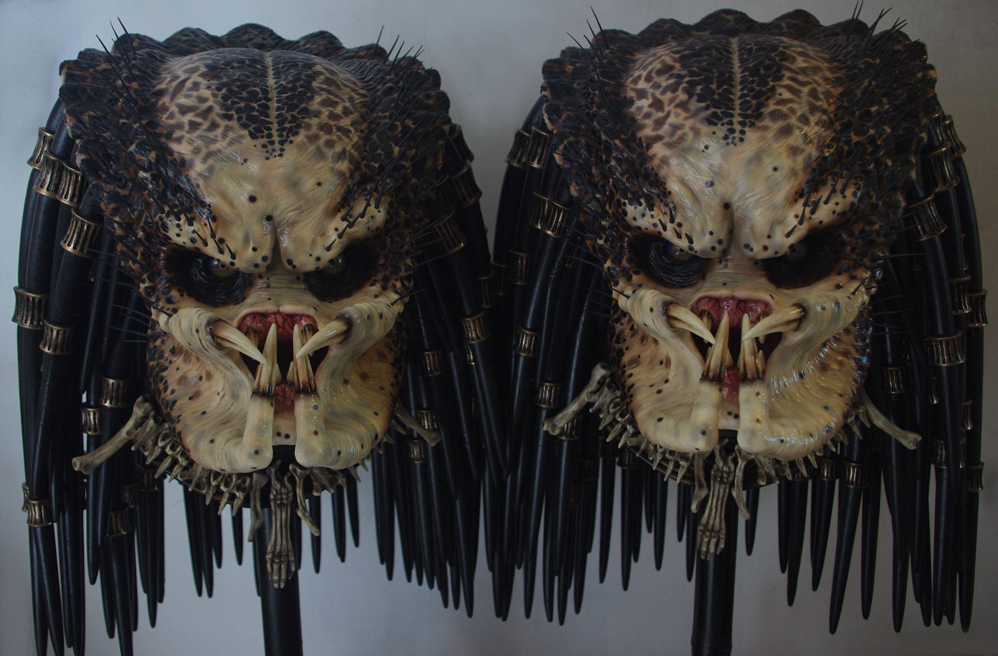 P1 busts