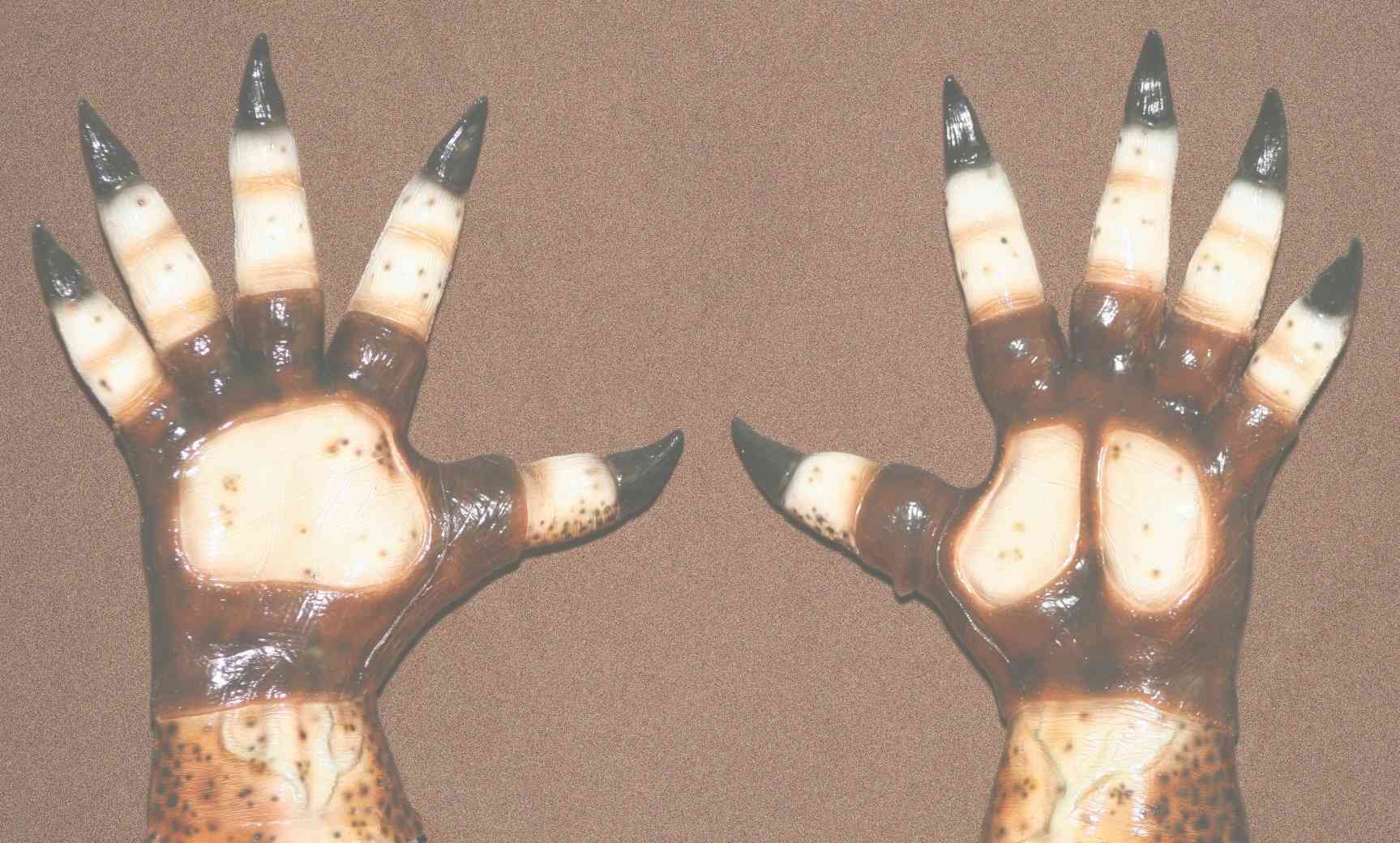 P1 hands palms