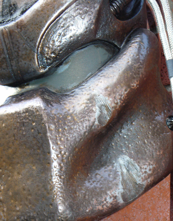 P1000698
